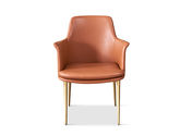 拜洛迪 轻奢 超迁皮+拉丝香槟金不锈钢 橙色 1把餐椅
