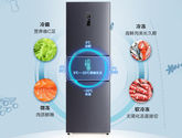 海信（Hisense）冰箱小型家用 电冰箱三开门 252升一级能效风冷无霜双变频 小户型 BCD-252WYK1DPUJ三温精储